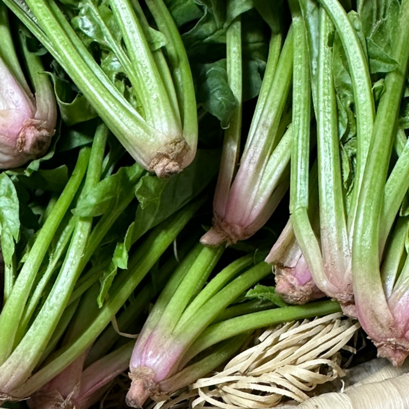 자연가득 포항 영해초 남해 보물초 시금치 500g-4kg - 상세 이미지 4