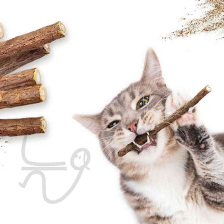 늘WAYS협력사 늘ways 캣완트 고양이 마따따비 스틱 S 10p 고양이성격테스트 강아지스트레스