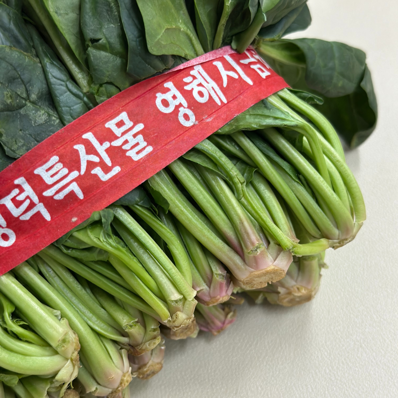 자연가득 포항 영해초 남해 보물초 시금치 500g-4kg - 상품 이미지