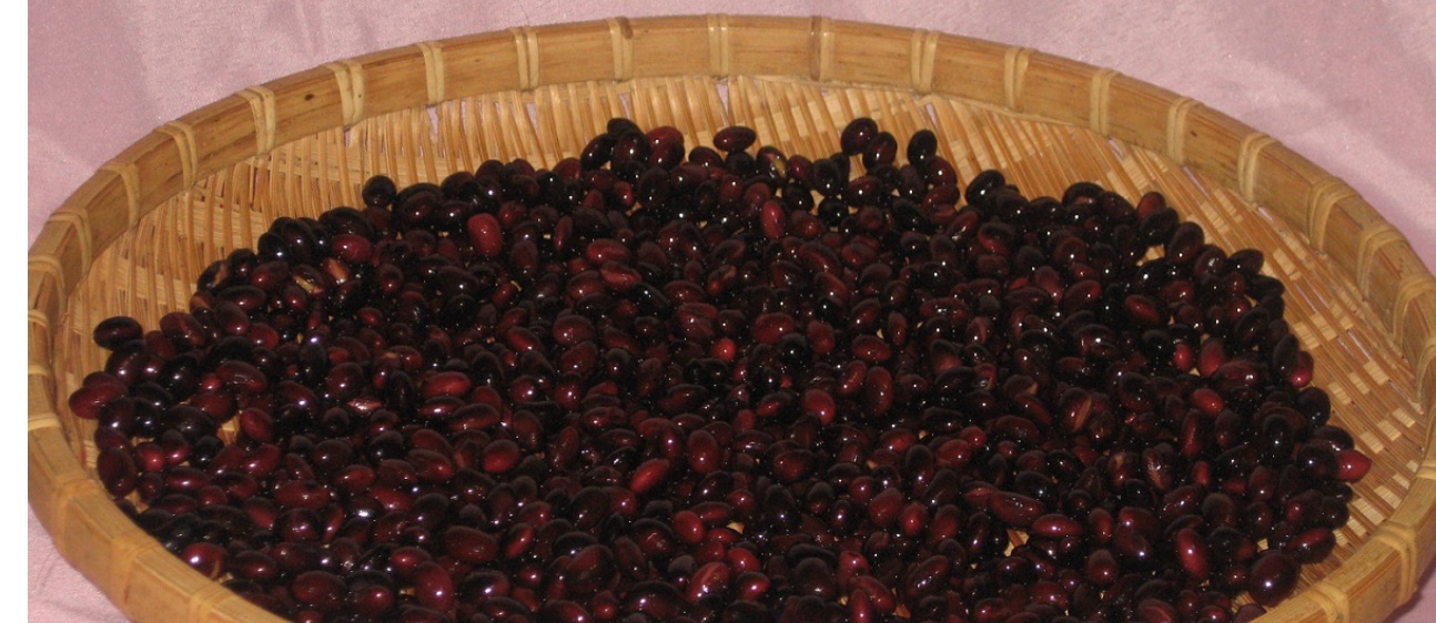 초산정 검정콩 마시는 초콩 30포 - 상세 이미지 4