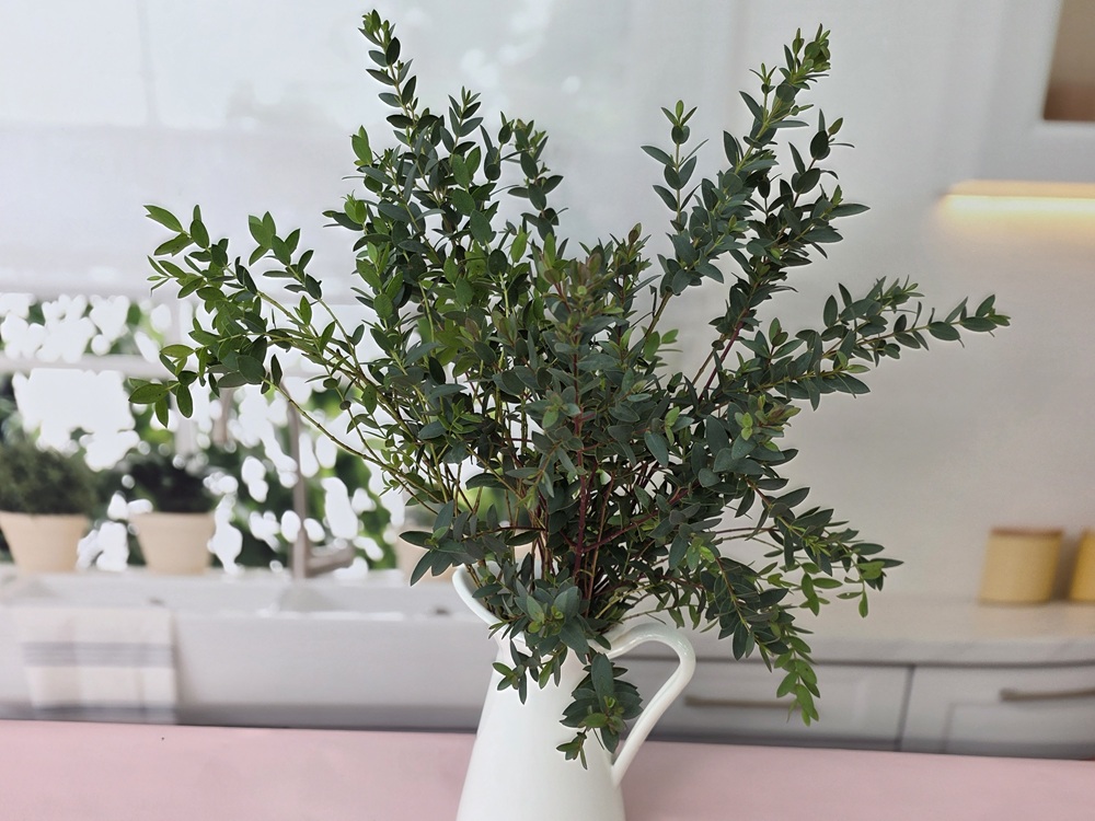 유스풀몰 소재 유칼립랜덤 반단 생화 꽃배달싼곳 꽃 이미지 4