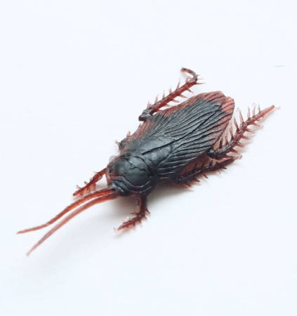 [트렌디프레소협력사]데이슬롯 바퀴벌레 모형 리얼 장식 소품 판촉물