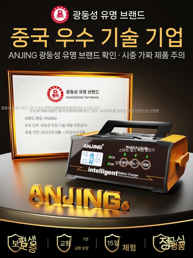 전기차 자동차 Pro25S 300W/400W DC 전기차충전기 충전기 배터리 AJ-619N 300W 듀얼모드 - 상세 이미지 3