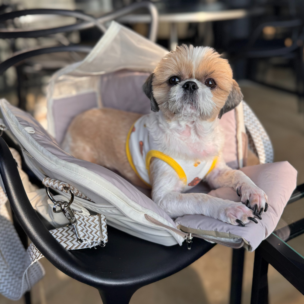 강아지 가방 고양이 이동장 애견 이동가방 중형견 숄더백 헤링본 고양이 슬링백 S - 상세 이미지 5
