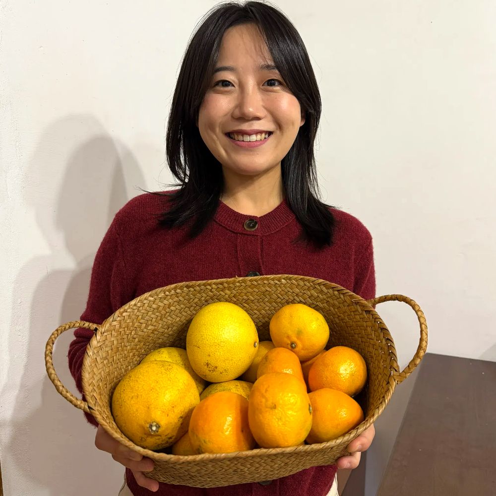 제주 노지 감귤 제주도 조생귤 밀감 제주 황금향 3kg 5kg - 상품 이미지