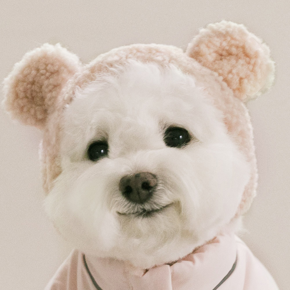 강아지모자 애견 고양이 겨울 모자 몽글베어 - 상세 이미지 5