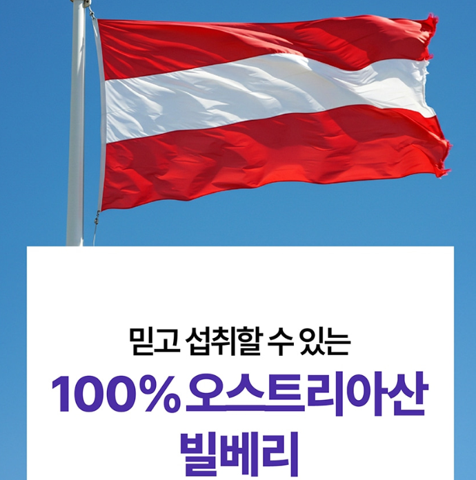 빌베리4170 빌베리 공구 원액 분말 스틱 - 상세 이미지 4