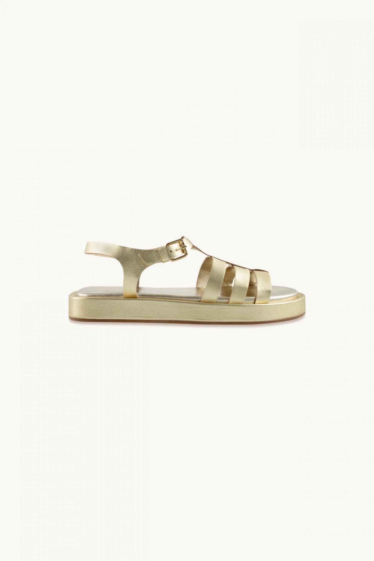 타이니코튼 골드 스트랩 샌들 SS23-720-L94 ONE COLOR - 메인 이미지