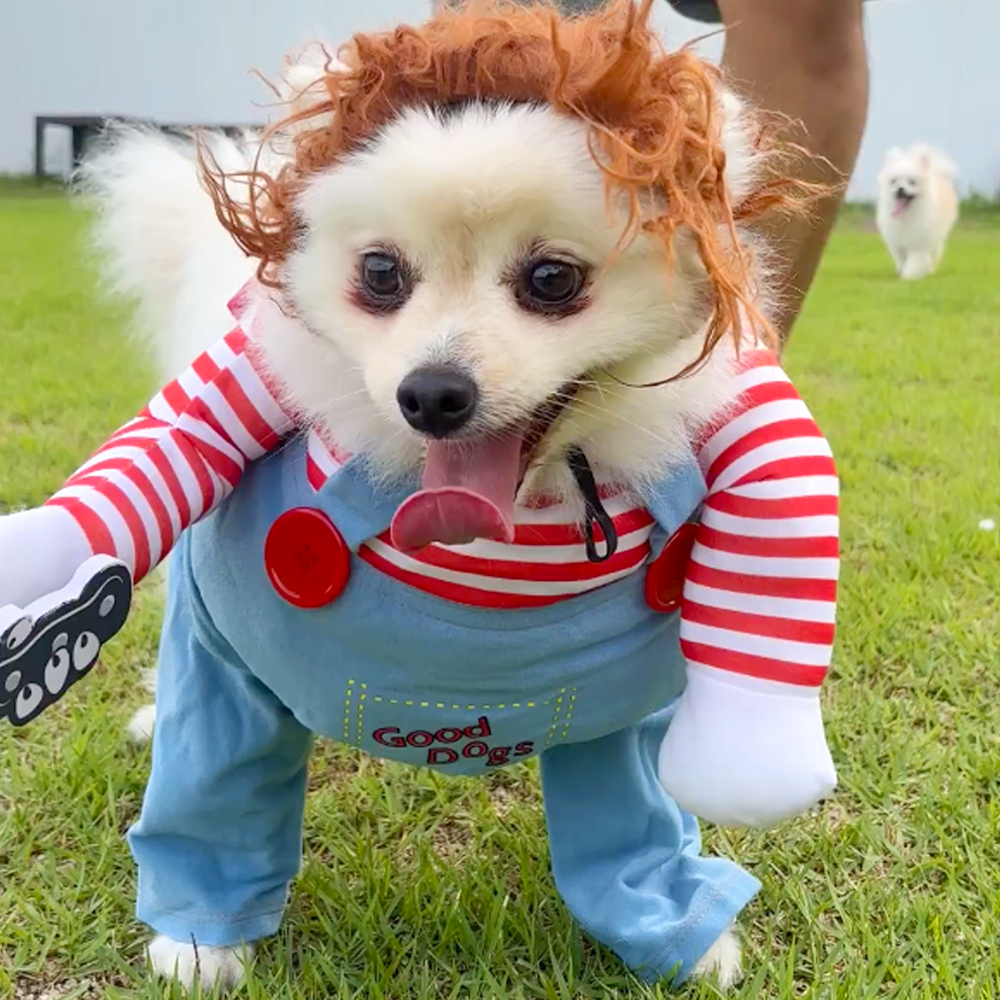 강아지 코스튬 옷 고양이 눈사람 크리스마스 특이한 웃긴 파티 겨울 모자 신발 처키