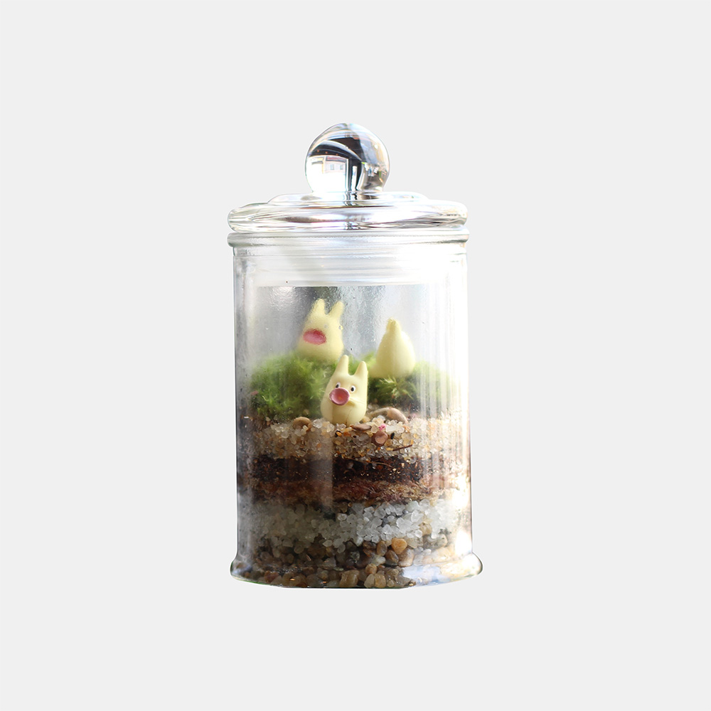 이끼 테라리움 키트 DIY 이끼키우기 플랜테리어 자연학습 집들이 선물 그류 - 상세 이미지 3