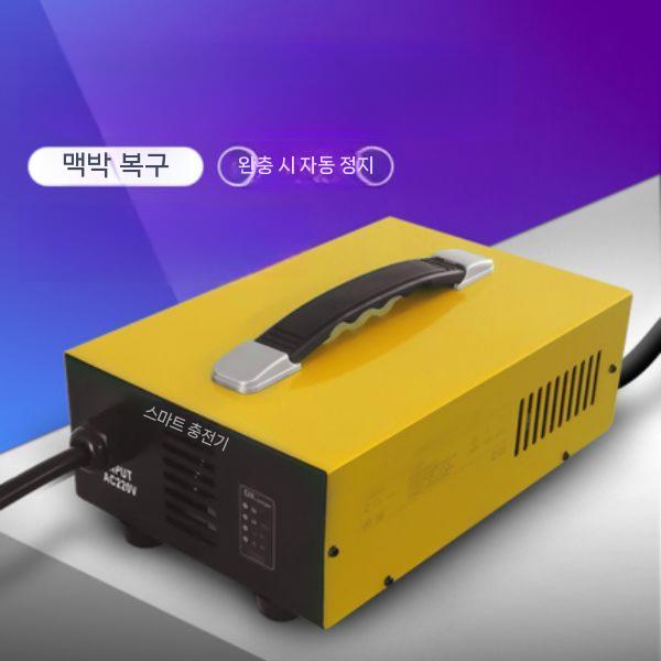 지게차 충전기 전동 배터리 12V 트럭 차량 36V 산업용 전기 12V 15A 충전기 - 상세 이미지 2