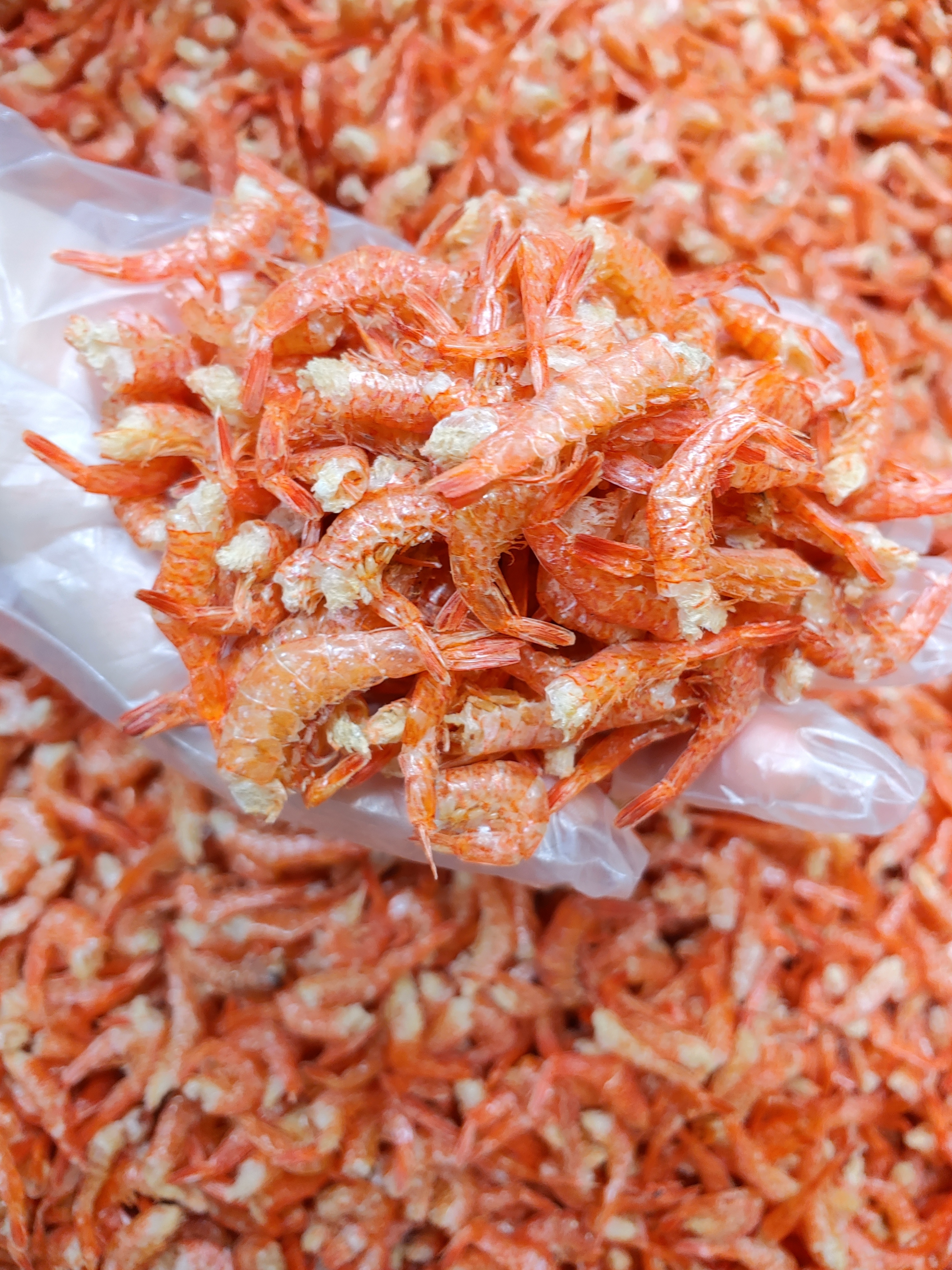 국산 남해안 마른새우 두절 꽃새우 400g, 1개 - 메인 이미지