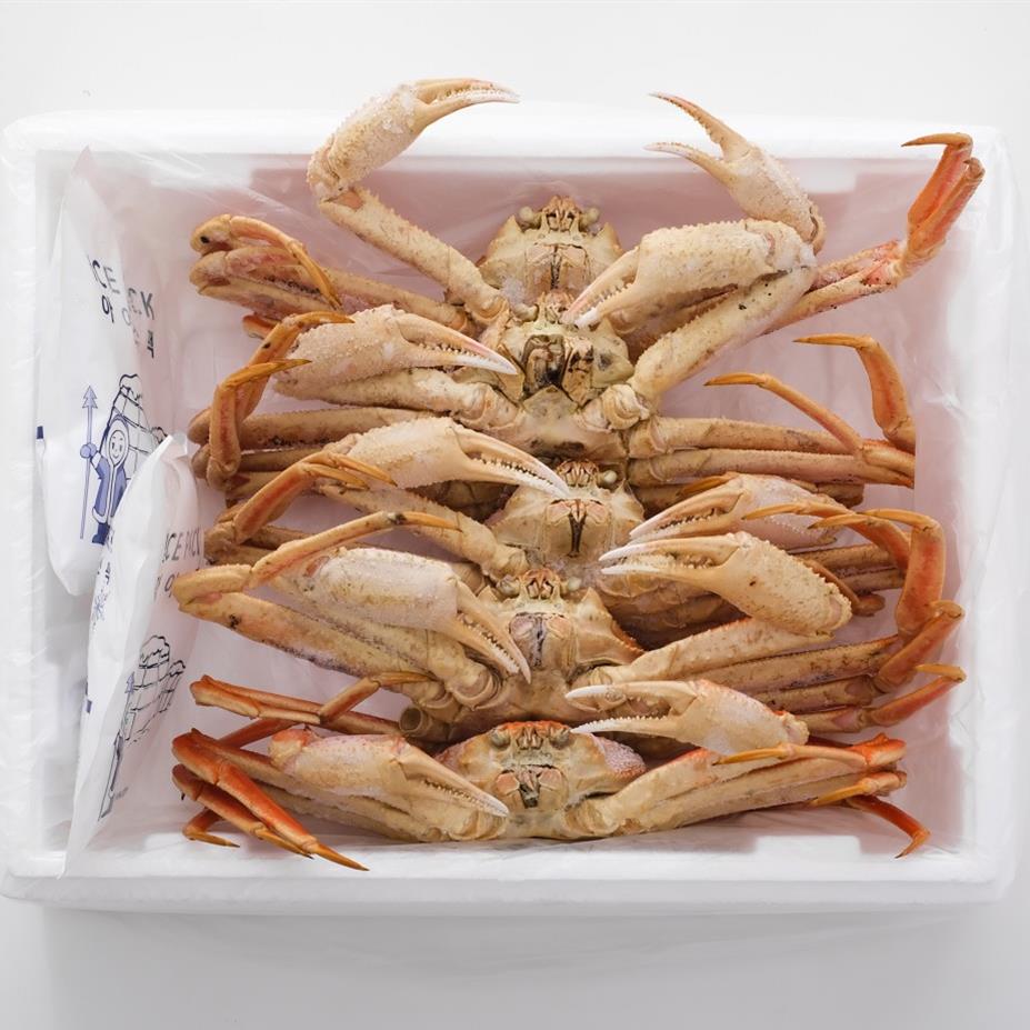 박달 대게 1kg 스노우크랩 러시아 자숙 마가단 찜 - 상품 이미지