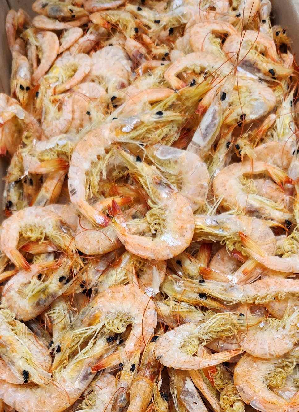 국산 서해안 중하새우 건새우 육수용 1kg, 1개 - 상세 이미지 3