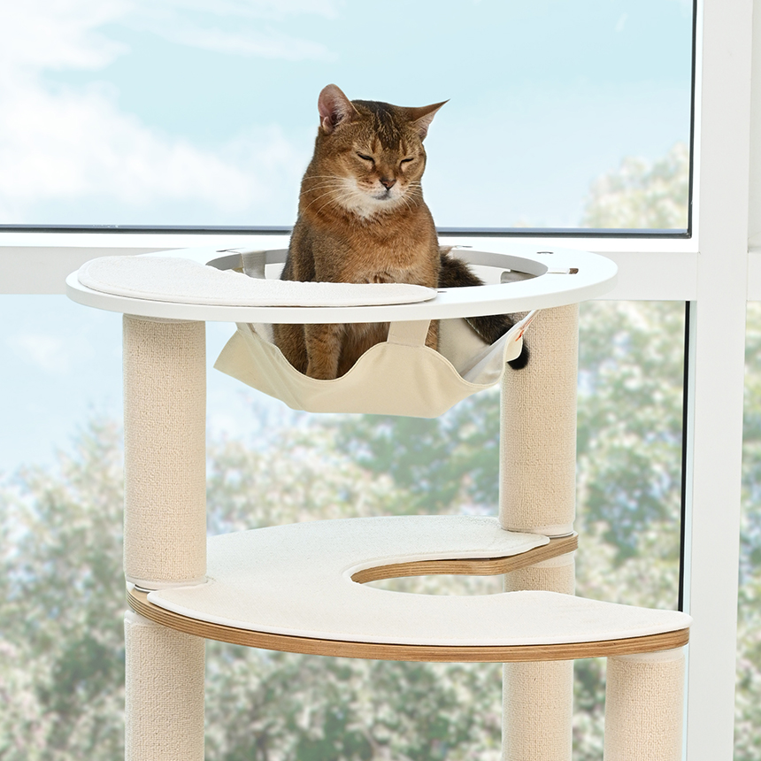 펫코본 캣타워 고양이 캣폴 원목캣타워 숨숨집 해먹 기본 스텝