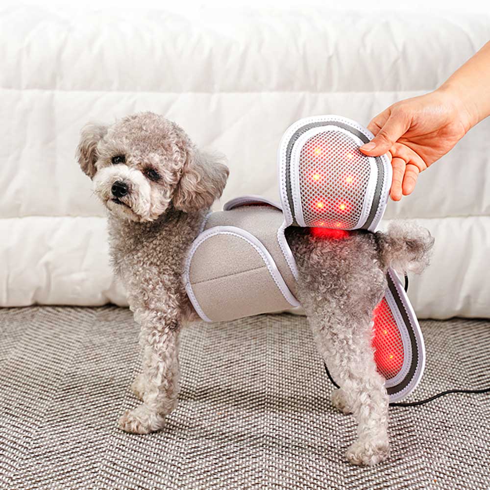 시리어스펫 슬개골 따땃망토 강아지 슬개골 고관절 탈구 근적외선 온열 찜질 조사기 제품 이미지