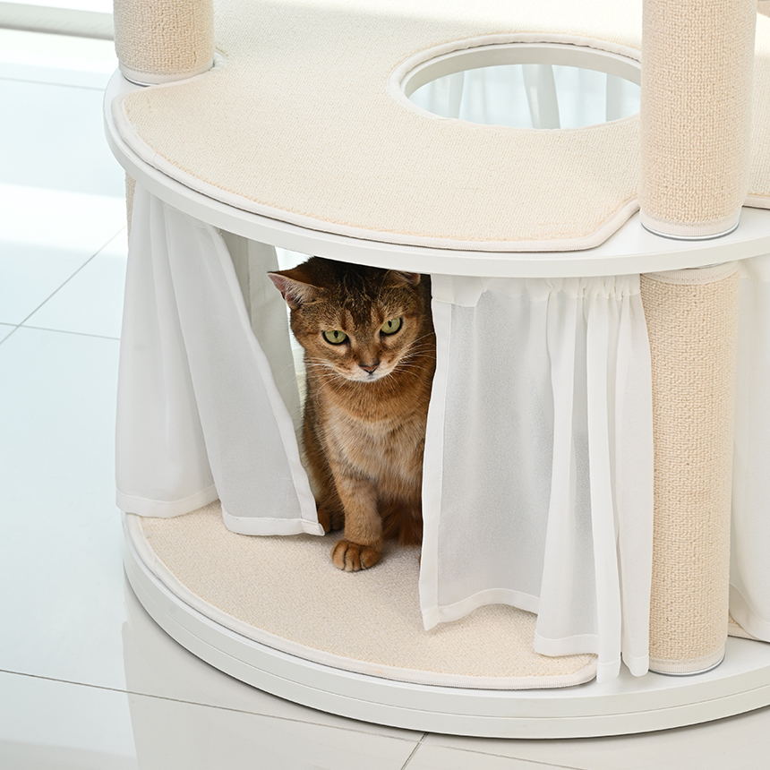 펫코본 캣타워 고양이 캣폴 원목캣타워 숨숨집 해먹 기본 스텝