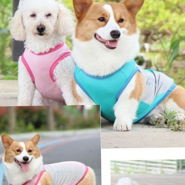민소매 강아지 여름 조끼 쿨티 강아지 쿨링 조끼 반려견 - 상품 이미지