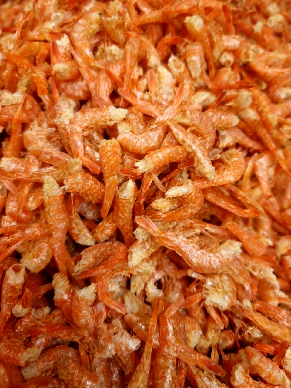 국산 남해안 마른새우 두절 꽃새우 400g, 1개 - 상세 이미지 2