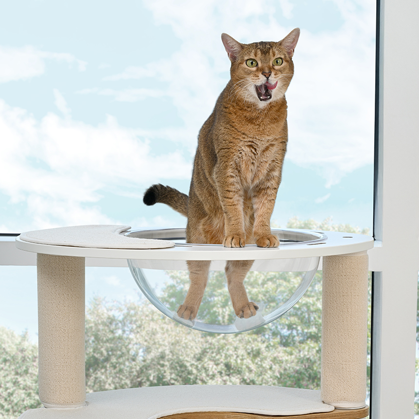 펫코본 캣타워 고양이 캣폴 원목캣타워 숨숨집 해먹 기본 스텝