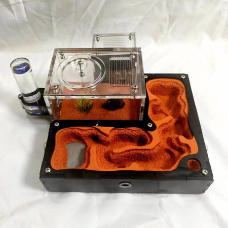 왕개미 확장 및 개미집 왕개미 키우기 둥지 아크릴