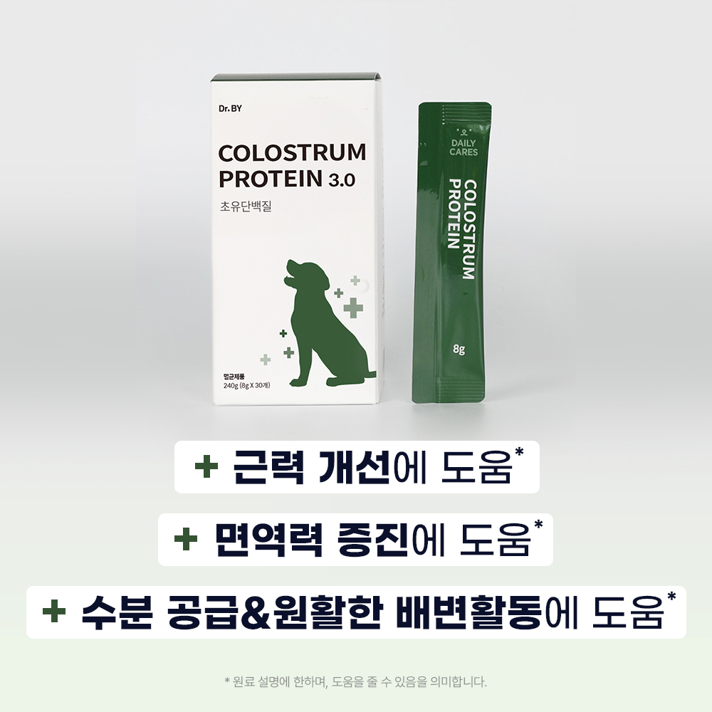 닥터바이 초유 단백질 강아지 근력개선 영양제 면역력 펫밀크 30개입, 1개