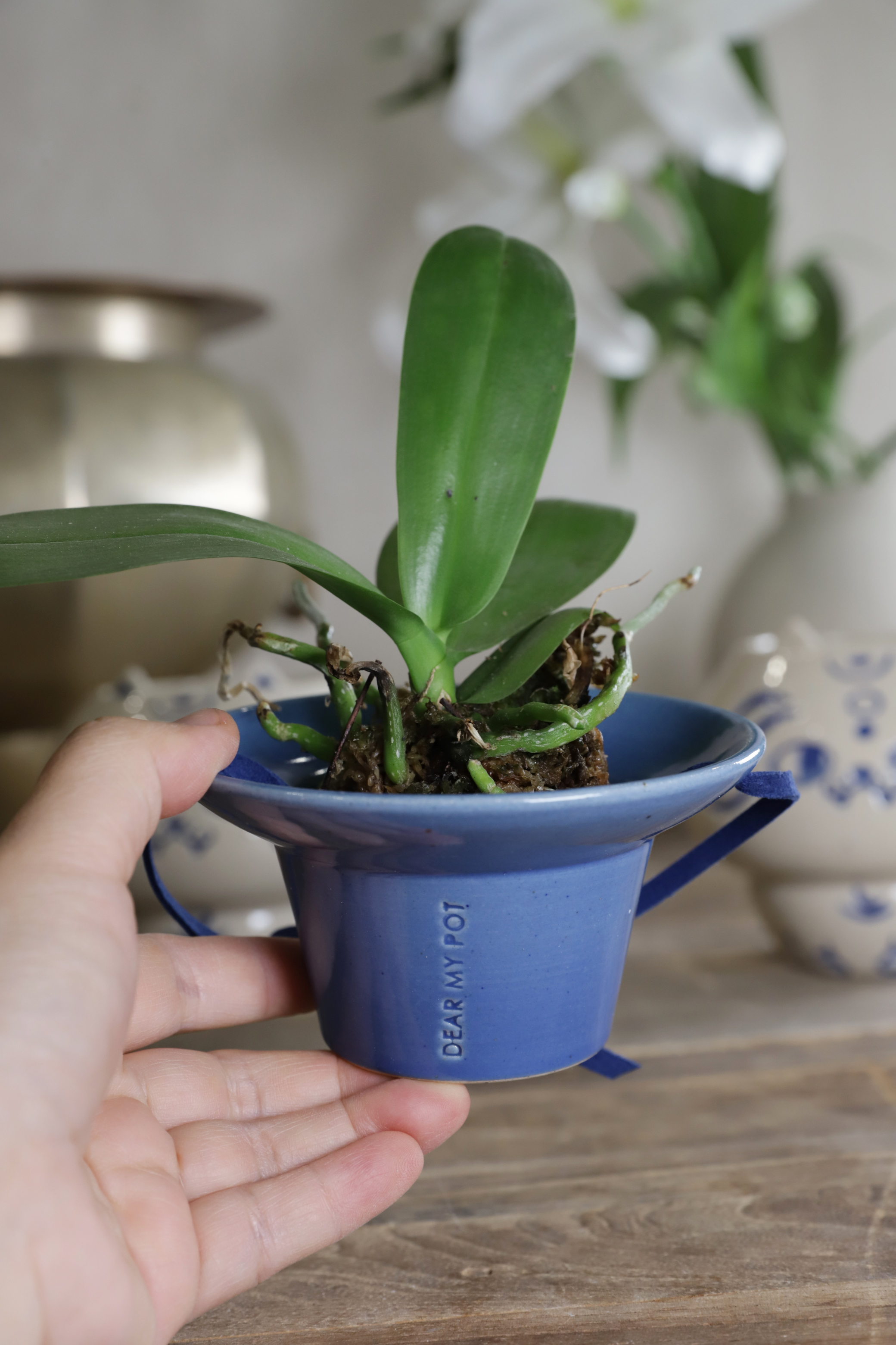 [2차예약12월5일이후 발송] 디어마이팟 미니갓팟 컬러선택 귀여운 유약 도자기 분갈이 토분 화분 동물 화분