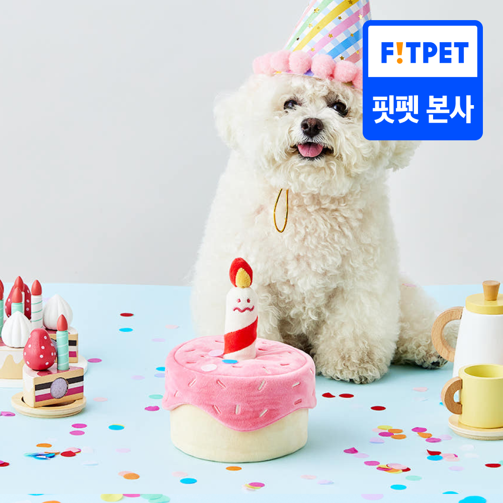 댄 강아지 고양이 생일파티 케이크 노즈워크 장난감 해피멍스데이