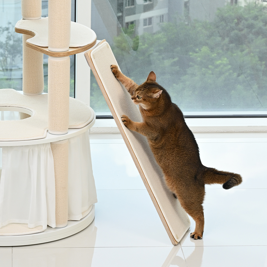 펫코본 캣타워 고양이 캣폴 원목캣타워 숨숨집 해먹 기본 스텝