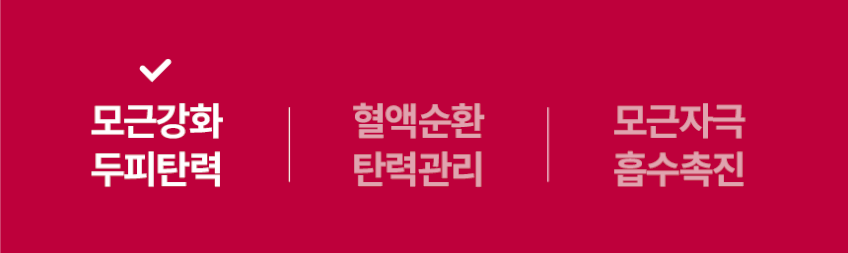 펄케어 전동 두피 마사지기 관리기 EMS 헤어터치 판매처 상세 정보 이미지 2