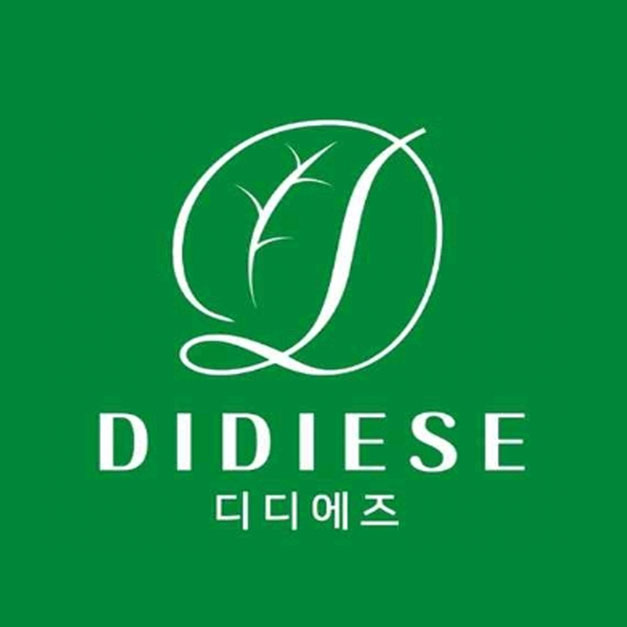 DIDIESE 디디에즈 스토어 로고