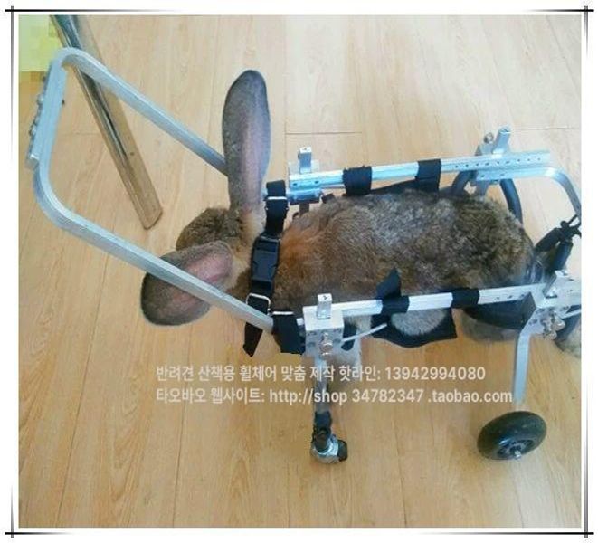 노견휠체어 강아지휠체어 대형견 보행기 장애견 보행기 라이트그레이 XXXS - 상세 이미지 5