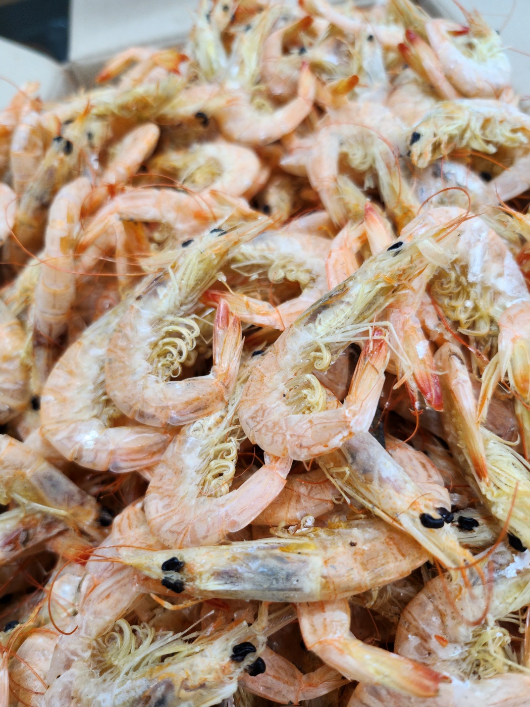 국산 서해안 중하새우 건새우 육수용 750g, 1개 - 상세 이미지 2
