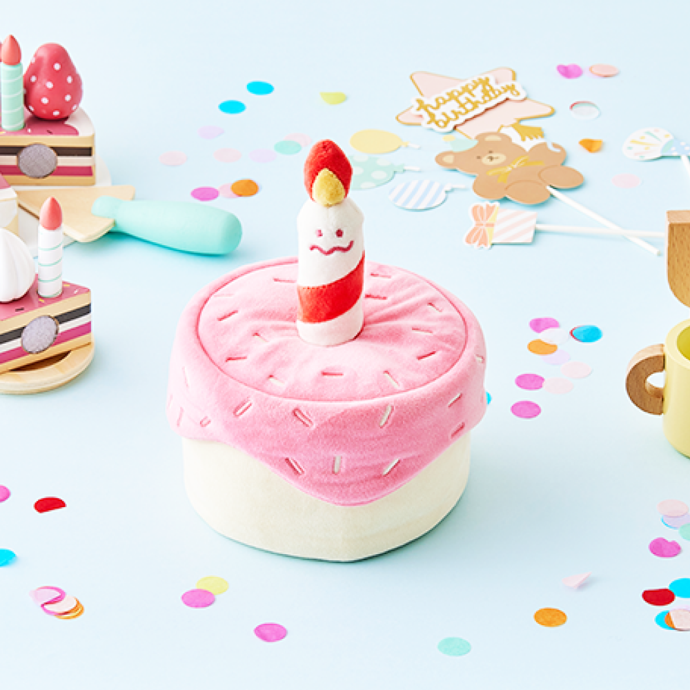 댄 강아지 고양이 생일파티 케이크 노즈워크 장난감 해피멍스데이