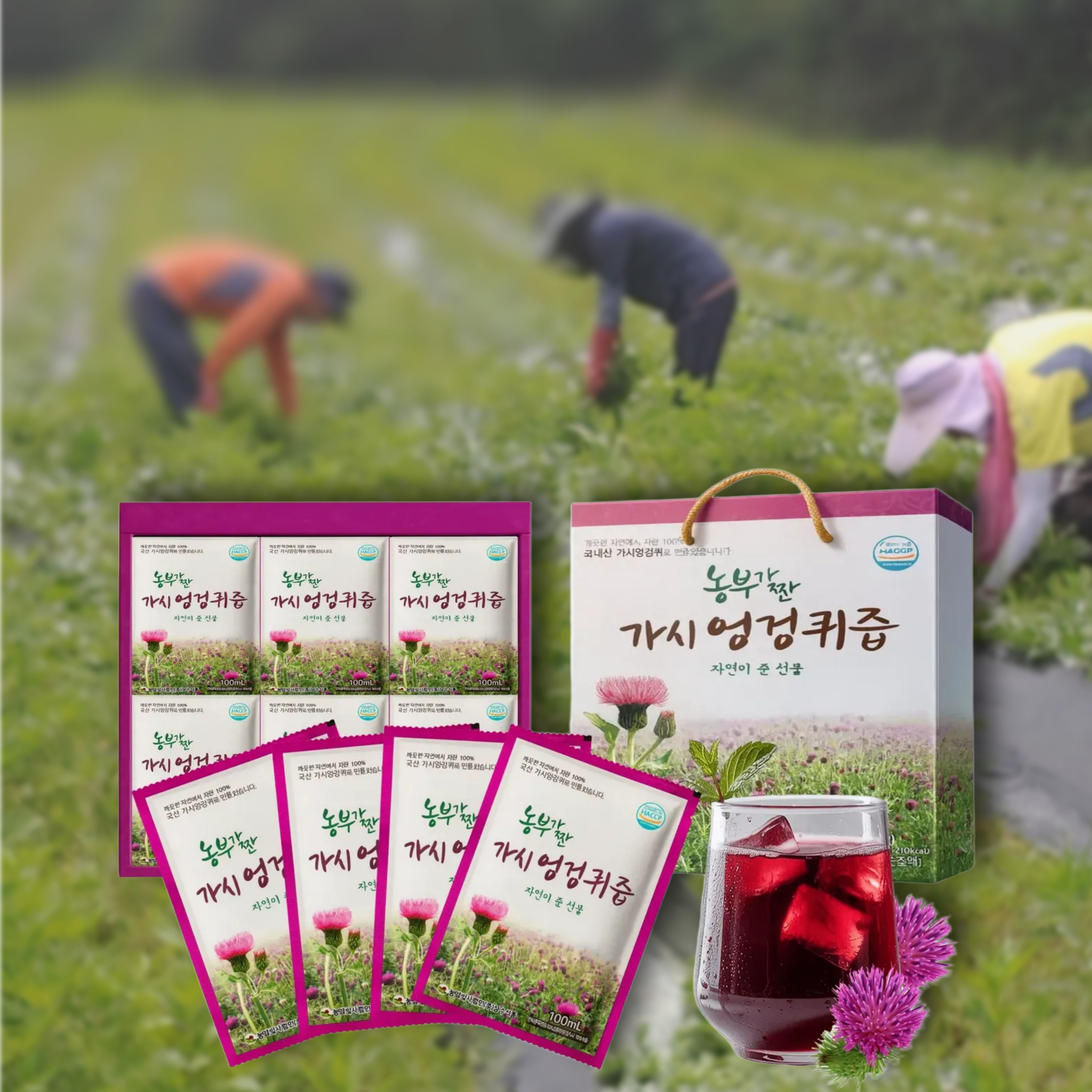 농부가 짠 나주 엉겅퀴즙 100ml x 30포 - 상품 이미지