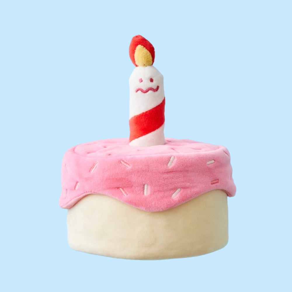 댄 강아지 고양이 생일파티 케이크 노즈워크 장난감 해피멍스데이