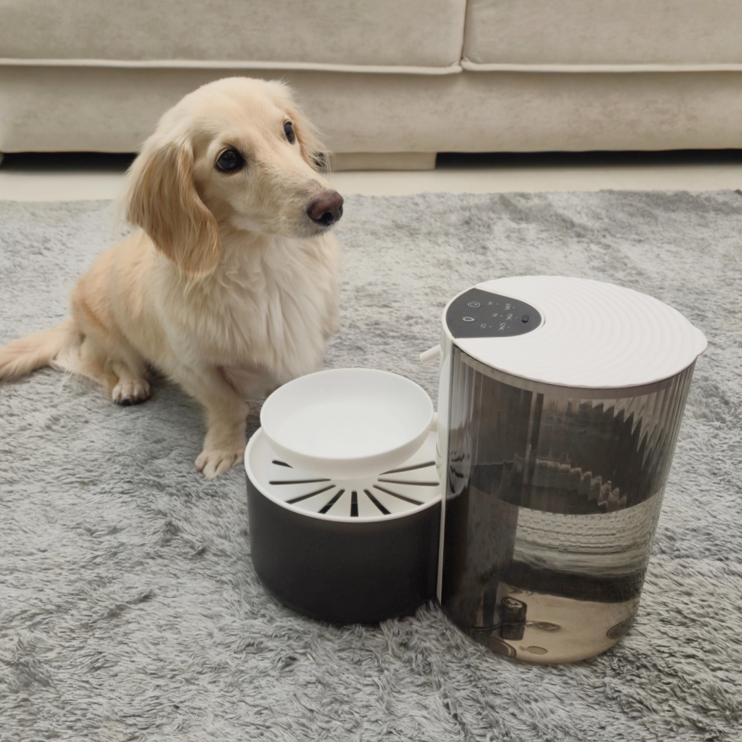 보니렌 에버샘 고양이정수기 강아지 음수대 자동 무선 급수기