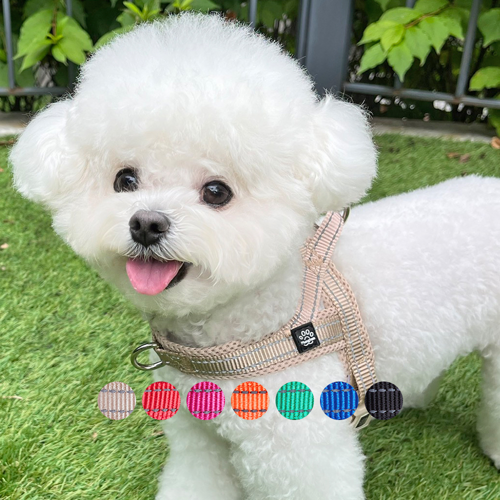 강아지 하네스 앞섬방지 앞고리 가슴줄 XXS 소형견