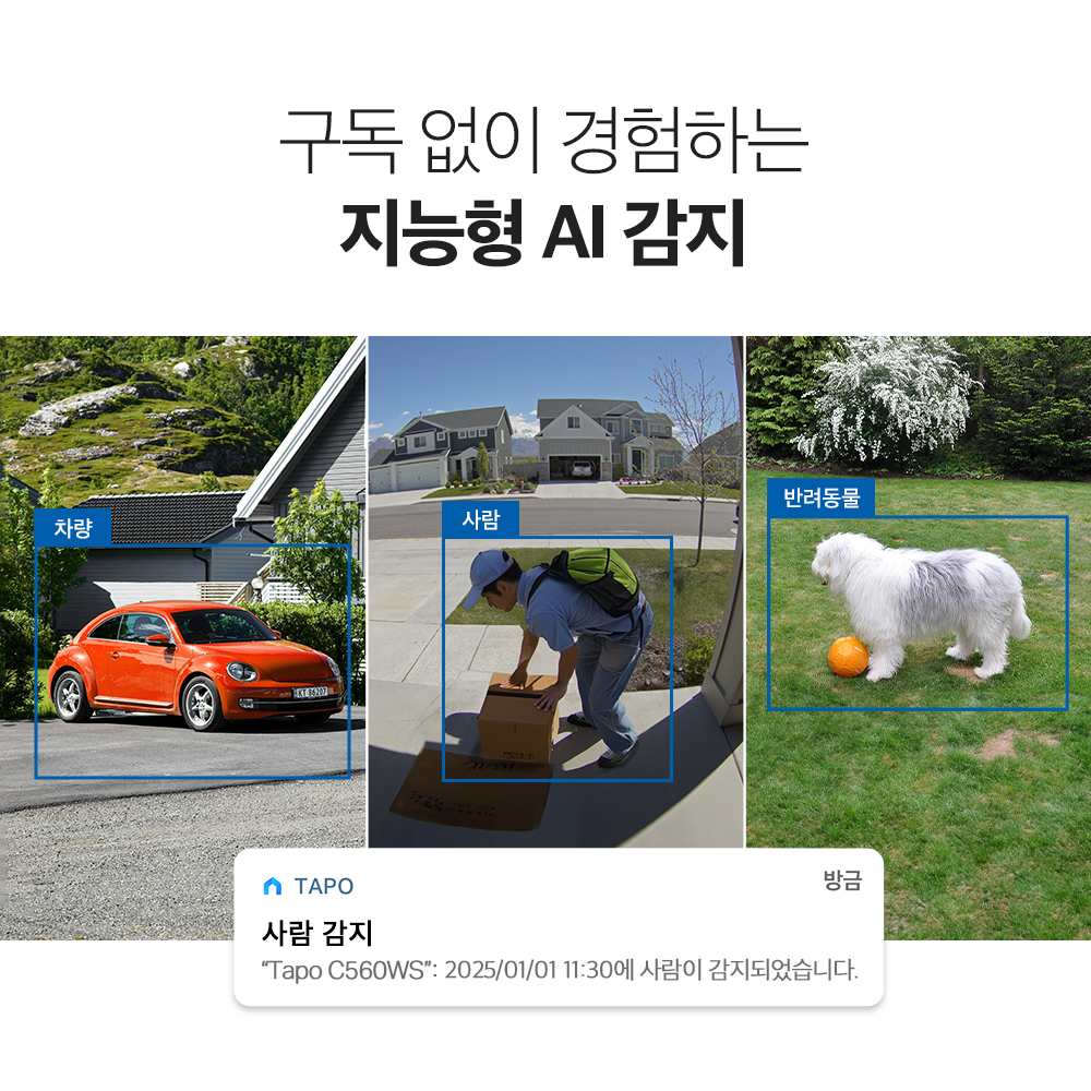 티피링크 Tapo C560WS 800만화소 실외용 초고화질 풀컬러 홈캠 실시간 카메라 스마트폰 CCTV 이미지 6