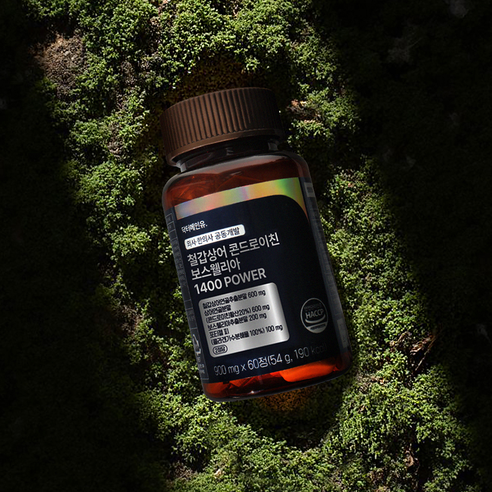 철갑상어 콘드로이친 보스웰리아 1400 파워 상어연골 6형 CS6 C6S 60정, 3개