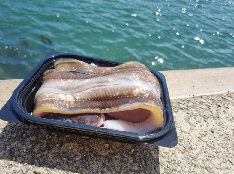 통영산 생물 통통 바다장어 1kg (2~3미) 산지직송 손질장어 소스포함 - 상품 이미지