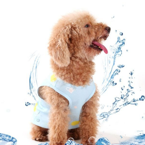 민소매 강아지 쿨 조끼 냉감 강아지 쿨링 조끼 반려견 여름