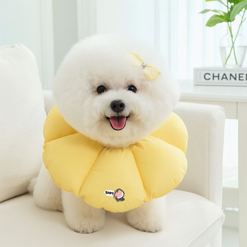 리치독스 강아지 넥카라 애견 고양이 깔대기 중성화 자수방수 S