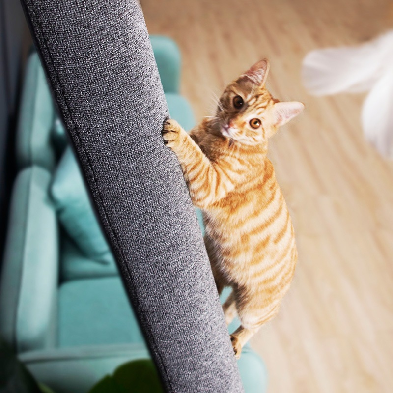 고양이 세우는 스크래쳐 대형 냥오름 놀이 뛰어넘다 요리조리 2미터 화이트 사이잘삼+해먹 - 상세 이미지 5