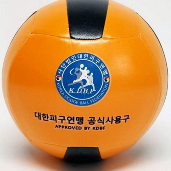 부드러운 피구공 공식 사용구 청소년 학교 피구공 안전 연습용 - 상품 이미지
