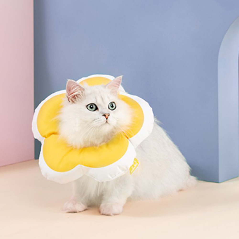 리치독스 강아지 넥카라 애견 고양이 깔대기 중성화 자수방수 S