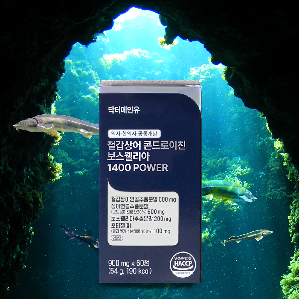 철갑상어 콘드로이친 보스웰리아 1400 파워 상어연골 6형 CS6 C6S 60정, 3개
