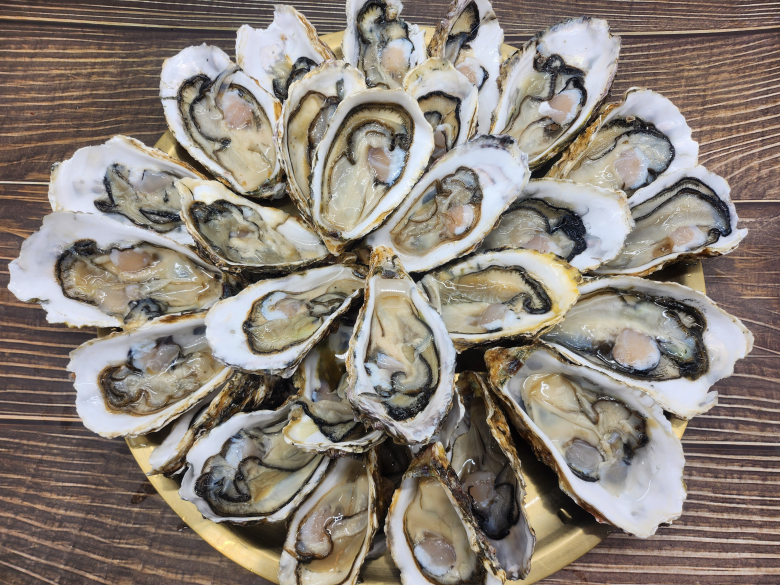 통영 제철 통통 하프셀 1단 생굴 25~30미 산지직송 생물 석화 횟감용 - 상세 이미지 3