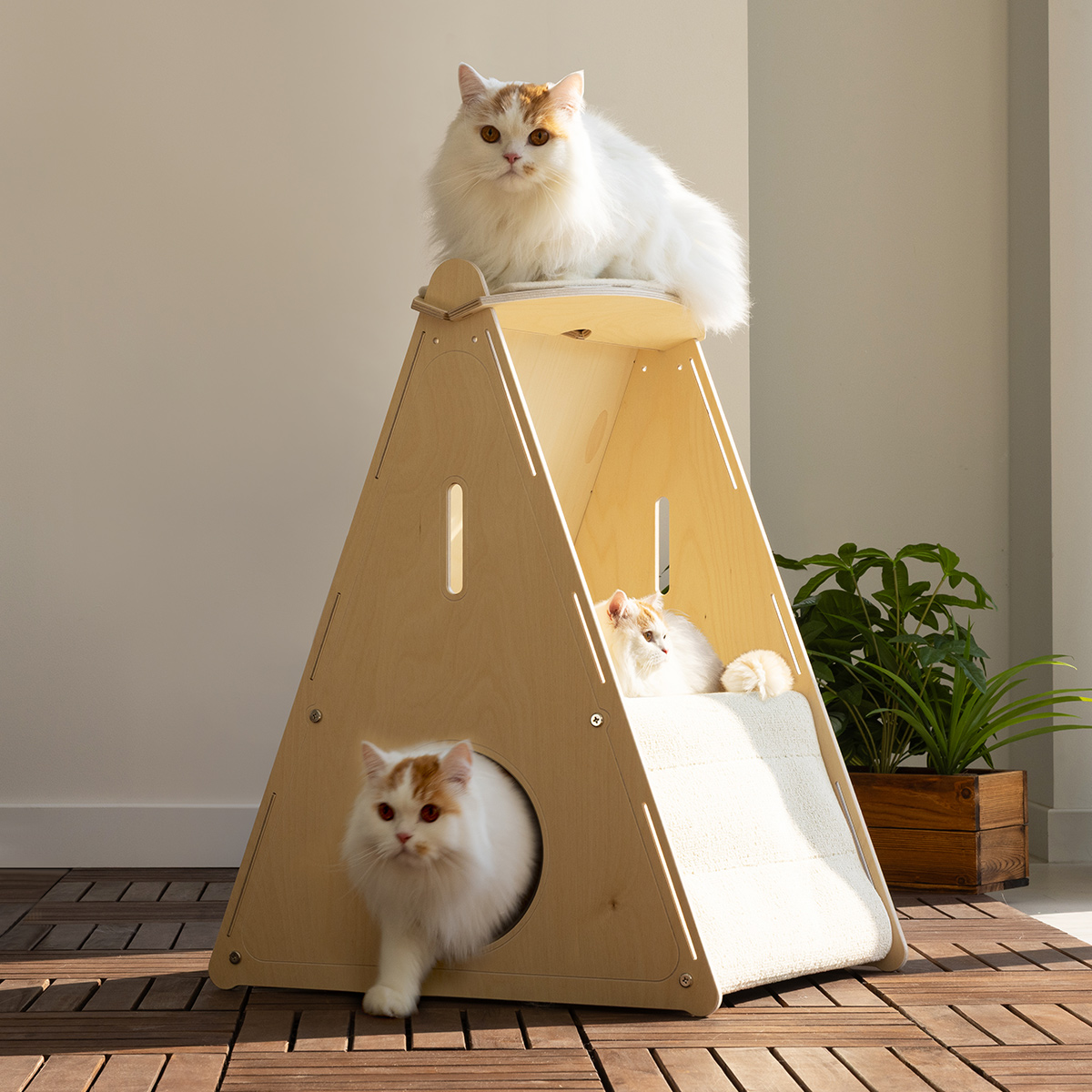 모넬로 원목 고양이 숨숨집 스크래쳐 대형