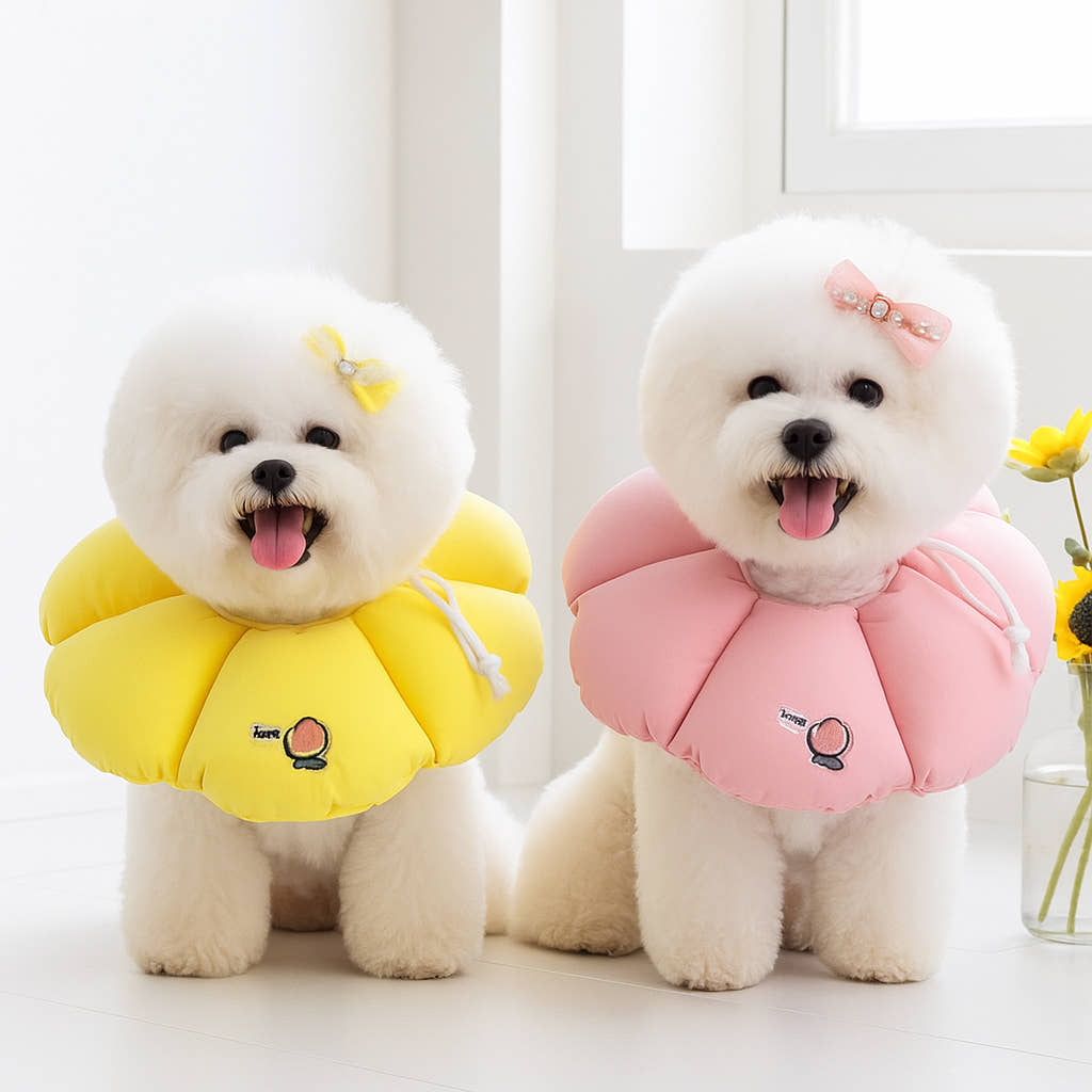리치독스 강아지 넥카라 S 가격 비교 리치독스 리치독스 강아지 넥카라 S